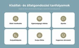 Kisállat Gondozási Tanfolyamok - Sablonok Webhelytervezés