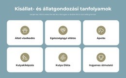 Kisállat Gondozási Tanfolyamok Weboldal Sablon