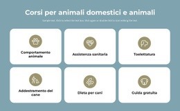 Corsi Per La Cura Degli Animali Domestici