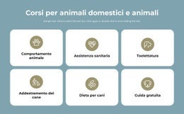 Corsi Per La Cura Degli Animali Domestici - Bellissimo Design Del Sito Web