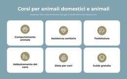 Corsi Per La Cura Degli Animali Domestici - Pagina Di Destinazione
