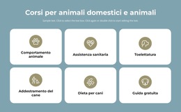 Progettista Di Prodotto Per Corsi Per La Cura Degli Animali Domestici