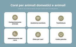 Corsi Per La Cura Degli Animali Domestici
