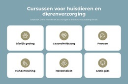 Cursussen Dierenverzorging - Sjablonen Website-Ontwerp
