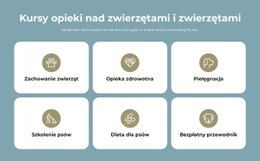 Projektant Stron Internetowych Dla Kursy Opieki Nad Zwierzętami