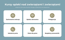 Kursy Opieki Nad Zwierzętami – Motyw WordPressa