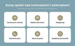 Kursy Opieki Nad Zwierzętami - Piękny Projekt Strony Internetowej