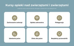 Kursy Opieki Nad Zwierzętami Responsywna Witryna Internetowa