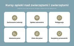 Projektant Produktu Dla Kursy Opieki Nad Zwierzętami