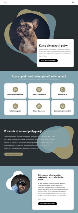 Kursy Pielęgnacji Psów - Najlepszy Darmowy Szablon Joomla