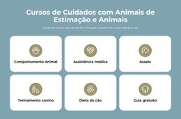 Cursos De Cuidados Com Animais De Estimação - Belo Design De Site