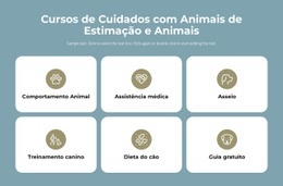 Cursos De Cuidados Com Animais De Estimação