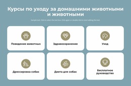 Курсы По Уходу За Домашними Животными Присутствие В Интернете