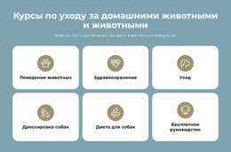 Курсы По Уходу За Домашними Животными Шаблоны Начальной Загрузки