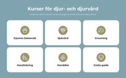 Kurser Om Djurvård