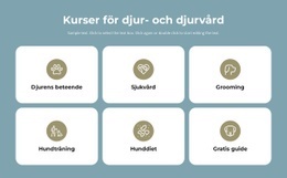 Kurser Om Djurvård - Vacker Webbdesign