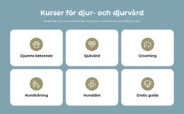 Kurser Om Djurvård HTML-Mall