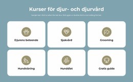Kurser Om Djurvård #Website-Templates-Sv-Seo-One-Item-Suffix