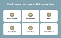 Evcil Hayvan Bakım Kursları - Basit Açılış Sayfası