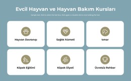 Evcil Hayvan Bakım Kursları