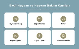 Evcil Hayvan Bakım Kursları Için HTML Tasarımı