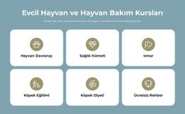 Evcil Hayvan Bakım Kursları - HTML Website Builder