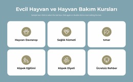 Evcil Hayvan Bakım Kursları - Çok Amaçlı Joomla Şablonu