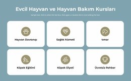 Evcil Hayvan Bakım Kursları - Şablonlar Web Sitesi Tasarımı