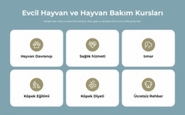 Evcil Hayvan Bakım Kursları - Herhangi Bir Cihaz Için Bir Sayfa Şablonu