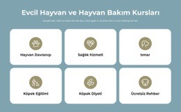 Evcil Hayvan Bakım Kursları - Nihai Web Sitesi Modeli