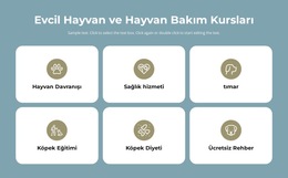 Evcil Hayvan Bakım Kursları Için Ürün Tasarımcısı