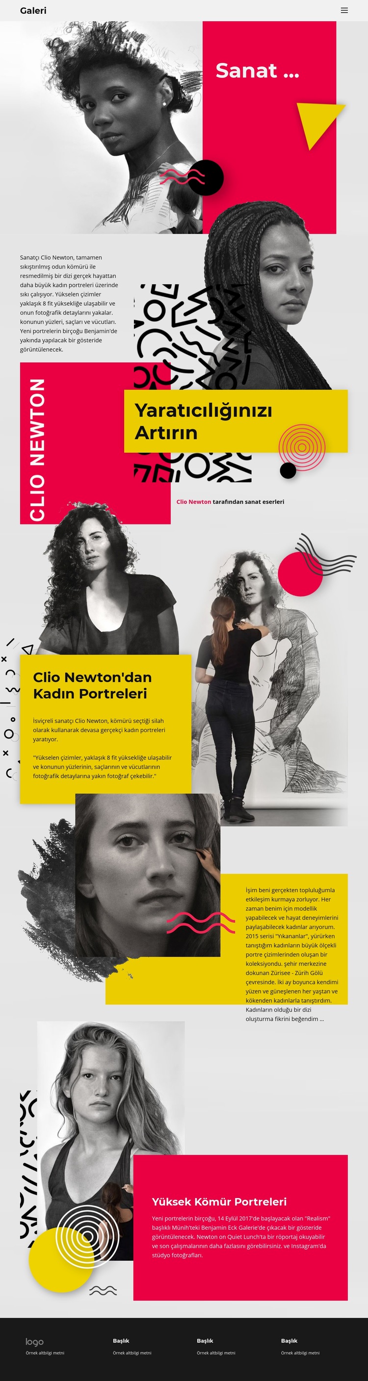 Clio Newton Web sitesi tasarımı