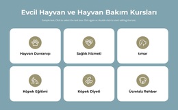 Evcil Hayvan Bakım Kursları - WordPress Teması