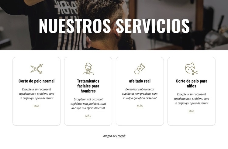 Modelado de barba y tratamientos faciales Diseño de páginas web