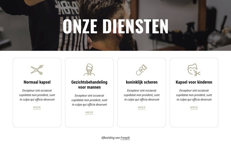 Baardbeeldhouwen en gezichtsbehandelingen Website ontwerp