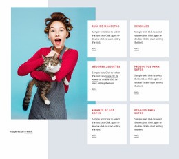 Diseño De Sitio Web Guía De Gatos Para Cualquier Dispositivo