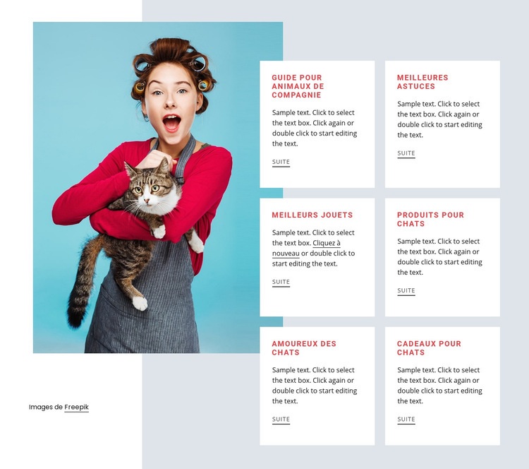 Guide du chat Créateur de site Web HTML