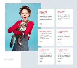 Superbe Thème WordPress Pour Guide Du Chat