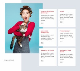 Guia Do Gato - Construtor De Sites Profissionais Personalizáveis