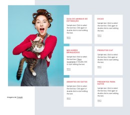 Guia Do Gato Modelo De Layout CSS