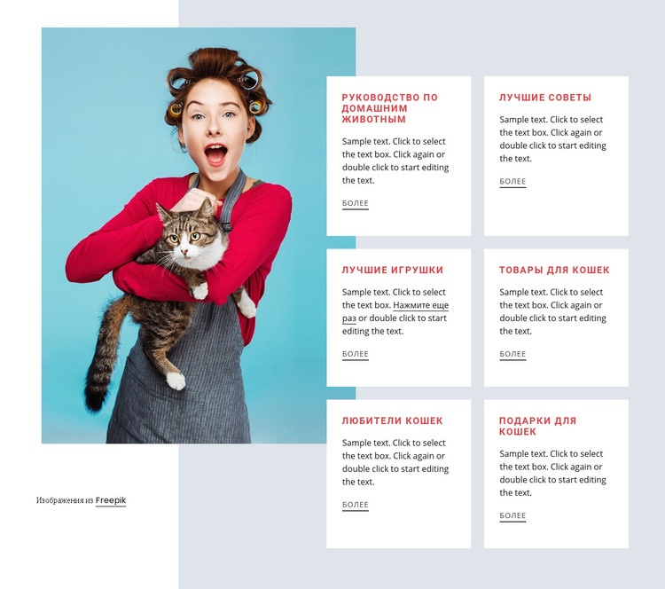 Кошка-гид Дизайн сайта