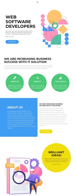 Development from scratch - WordPress Theme by Nicepage