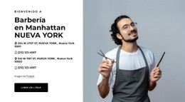 Impresionante Diseño Web Para Peluquería En Nueva York