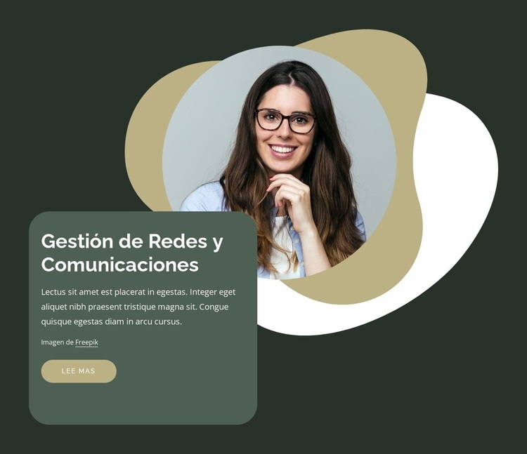 Gestión de comunicaciones Maqueta de sitio web