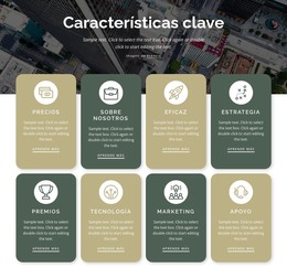 8 Características Clave - Plantilla Totalmente Responsiva