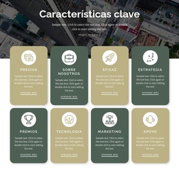 8 Características Clave - Tema Moderno De WordPress