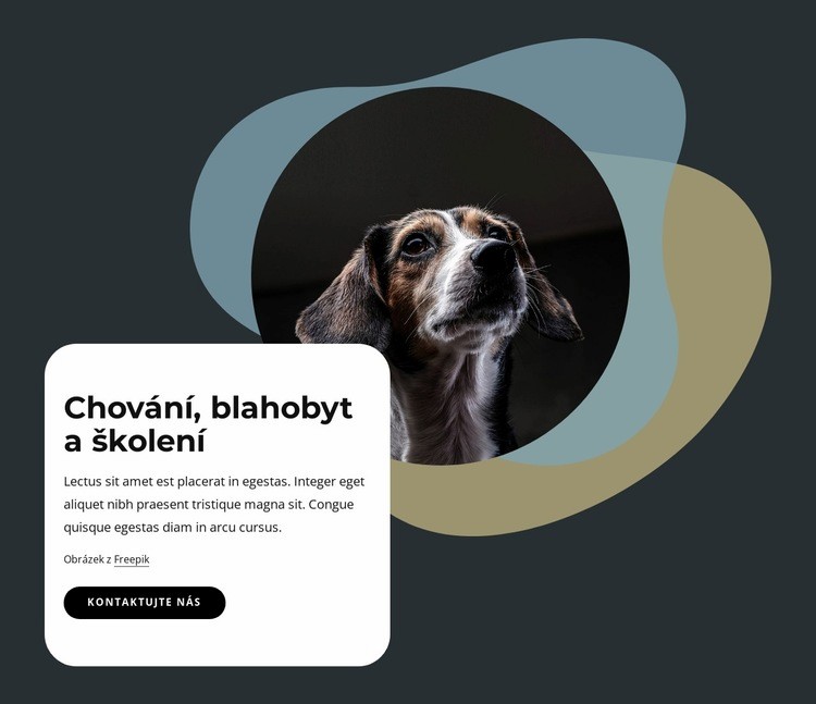 Chování, pohoda a výcvik Šablona CSS