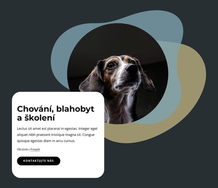 Chování, pohoda a výcvik Téma WordPress