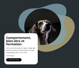 Comportement, Bien-Être Et Formation