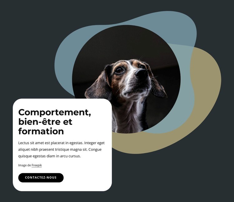 Comportement, bien-être et formation Modèles de constructeur de sites Web